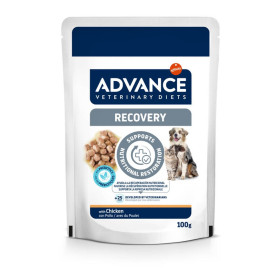 Advance Chat Chien Wet Recovery