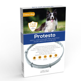 Protesto collier Grand chien