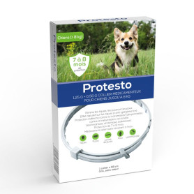 Protesto Collier Petit chien