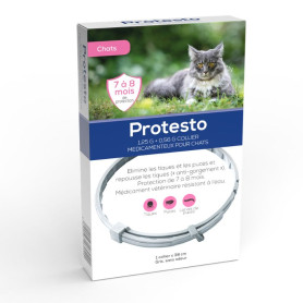 Protesto Collier Chat