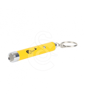Pointeur Led Catch the light