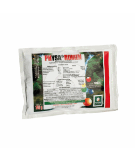 Physa Rumen