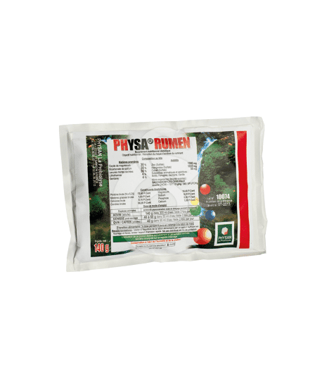 Physa Rumen
