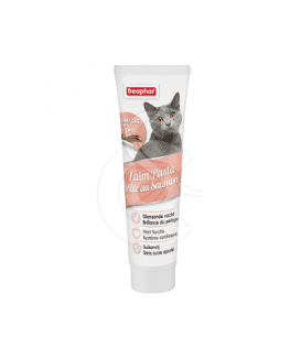 Pâte au saumon pour chats