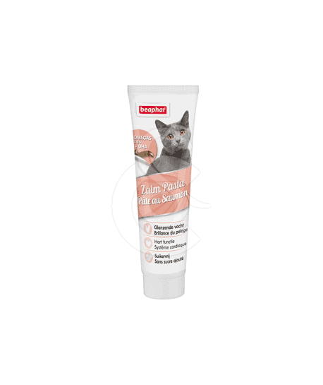 Pâte au saumon pour chats