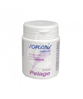 Sofcanis Pelage