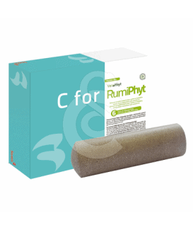 C For Rumiphyt
