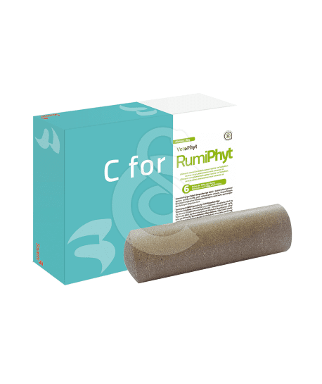 C For Rumiphyt