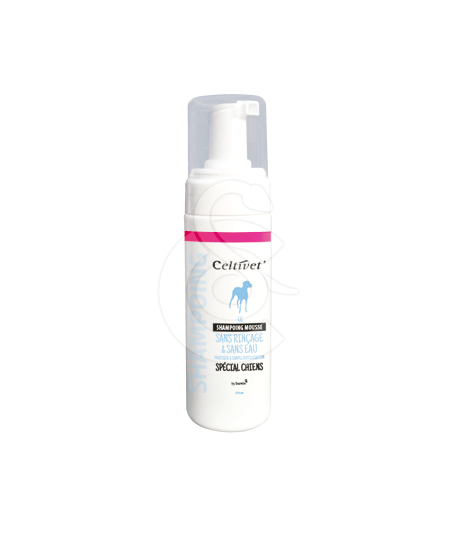 Shampoing Mousse Chien