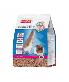 Care + Rat