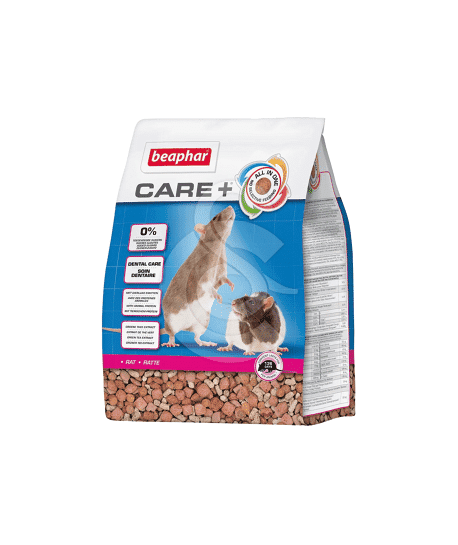 Care + Rat