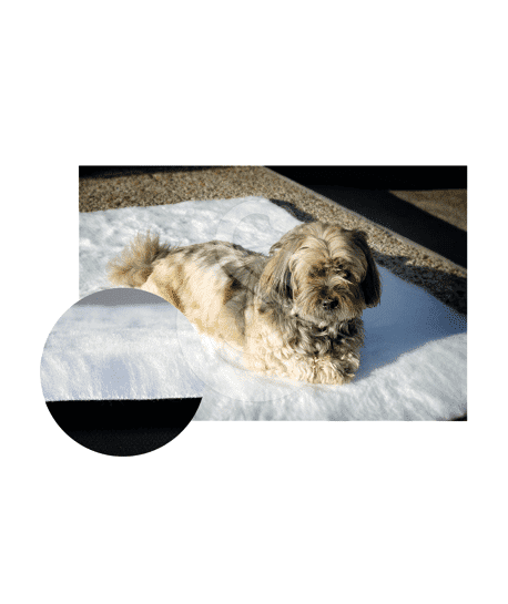 Tapis-moquette anti escarres