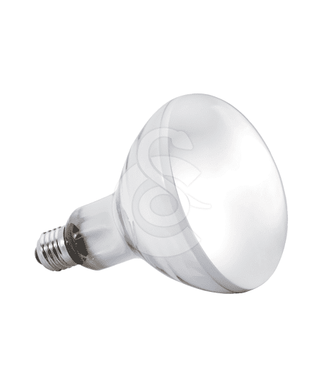 Ampoule Solar Glo UVA/UVB pour reptiles