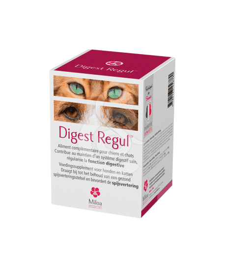 Digest Regul