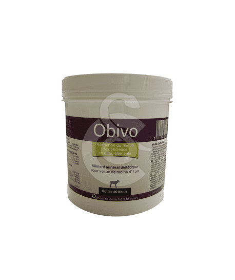 Obivo