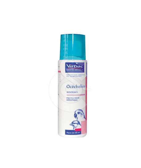 Océcholine