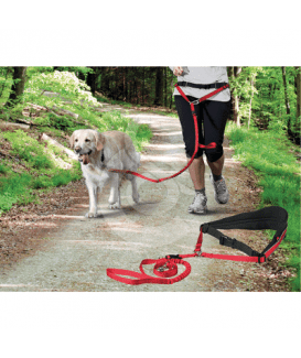 Ceinture Canicross