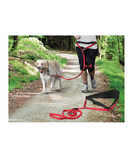 Ceinture Canicross