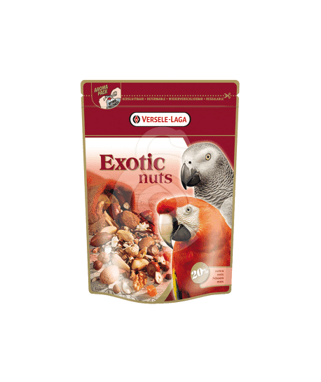 Perroquets Exotic Nuts