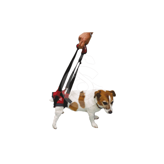 Harnais Handy Canis Pour Chien Paralyse Du Train Arriere Xs 30 A 35 Cm Yorshire Et Chat Placedesvetos Com