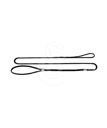 Laisse-collier d'exposition Hunter nylon