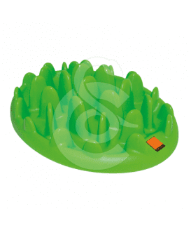 Gamelle Green Slow Dog pour chien