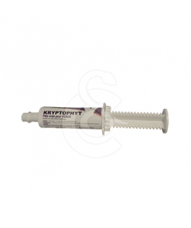 Kryptophyt