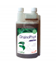 Drainophyt