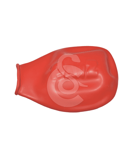 Bottine de protection Pawz