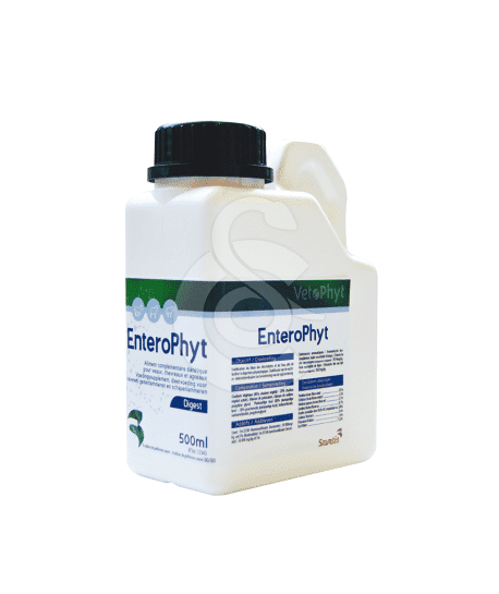 Enterophyt