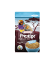 Premium Oiseaux Exotiques