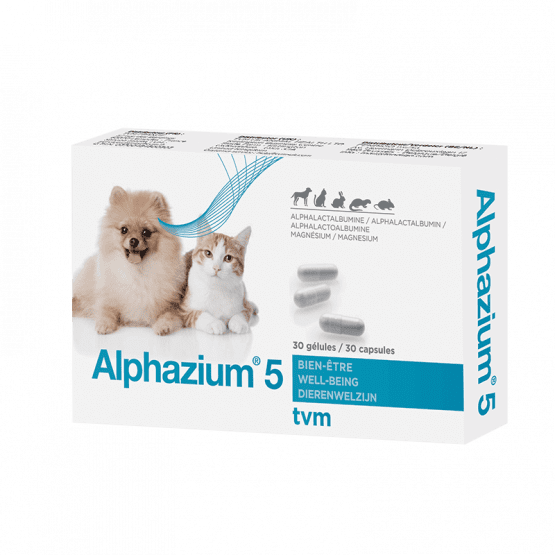Alphazium 5 Boite De 30 Gelules Placedesvetos Com