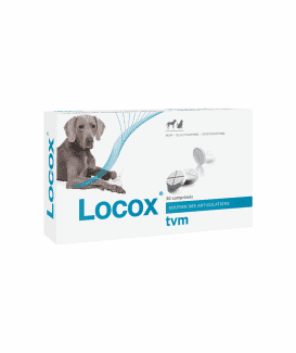 Locox