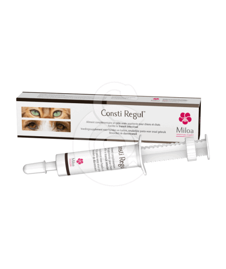 Consti Regul