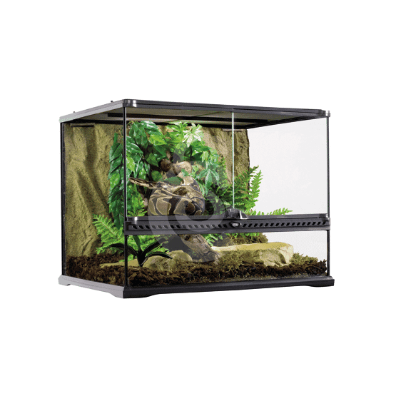 Chaîne D'Escalade Pour Serpents - Anneaux En PP, Corde Lin, Accessoire Terrarium Enrichissement - 5