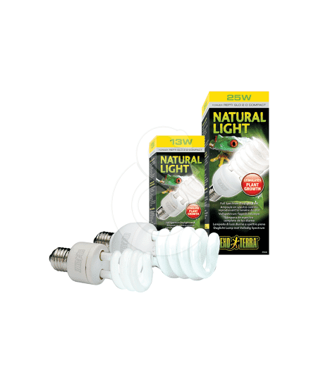 Ampoule Repti Glo 2,0 - Natural Light