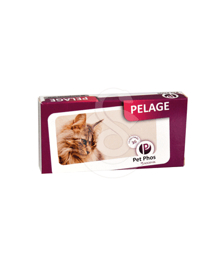 Pet-Phos pelage du Chat