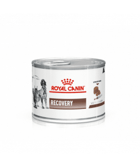 Royal Canin Cat/Dog Recovery