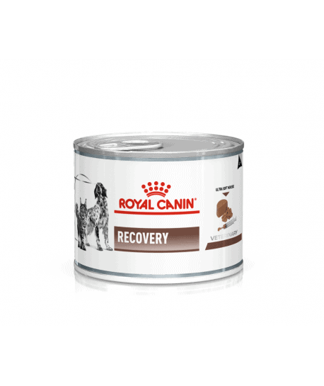 Royal Canin Cat/Dog Recovery