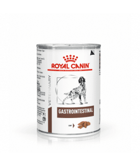 Royal Canin Dog Gastrointestinal Boîtes