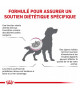 Royal Canin Dog Renal