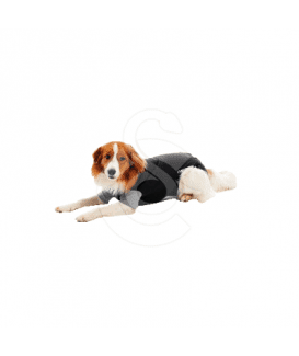 Gilet Body Suit Classic Buster pour chien