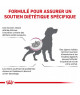 Royal Canin Dog Renal Select