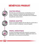 Royal Canin Dog Renal Special Boîte