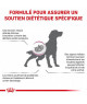 Royal Canin Dog Renal Special