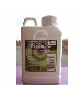 Renobione
