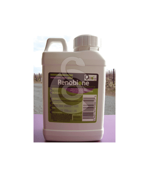 Renobione