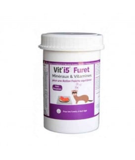 Vit'I5 Furet pdre