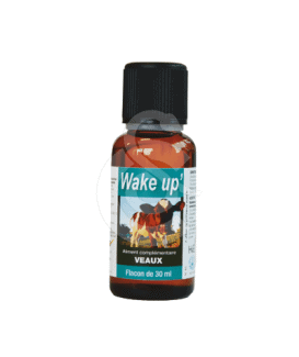 Wake Up
