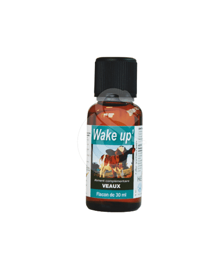 Wake Up